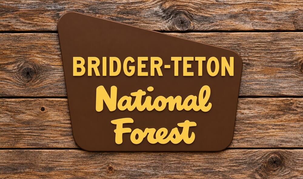 Bridger Teton National Forest Entrance Sign Wyoming Camp Hike Park Customize